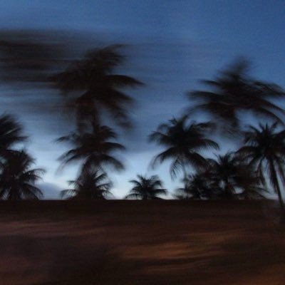 llijj1's profile picture. 