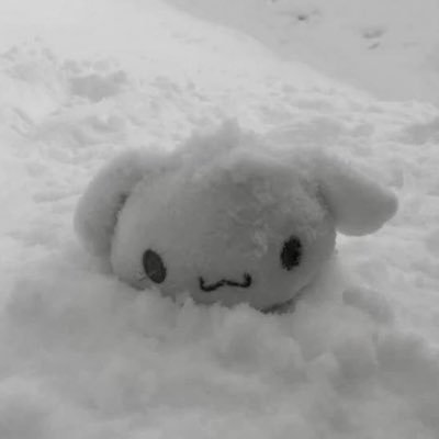 dollbam2's profile picture. 힐링이와 쿠키