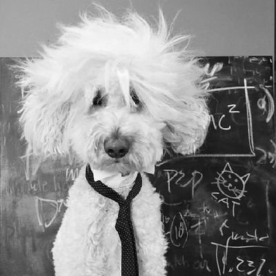 nabeelosaad's profile picture. 🌊Ocean 2025🏄‍♂️🩳 splendide sable de roches 🏏ocean 2026 🧶comme chez toi quedate en casa 🛶 vernier+41 848810123 bey+961 70208789