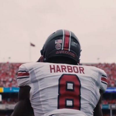 gamecocks3345's profile picture. 