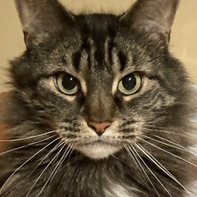 RayPride's profile picture. Film critic, writer, photographer. Senior editor, Newcity. “Today In Culture” weekday column.