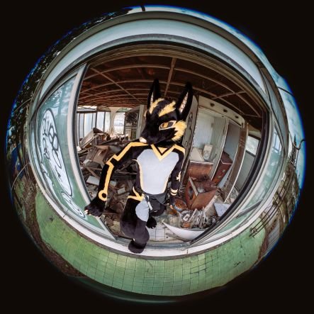 AnubisFurdance's profile picture. Hi everyone this is Anubis╰(⸝⸝⸝´꒳`⸝⸝⸝)╯
love dance and sing. 
Don't let me angry, I will turn you into the mummy. ฅ (◕ᴥ◕ʋ) ฅ