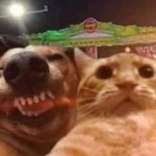 floreshunnid's profile picture. @sekaiGGs