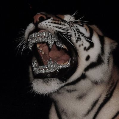 Zaine_X3's profile picture. Studying candlesticks at the 1-CCISD lab⚡️.