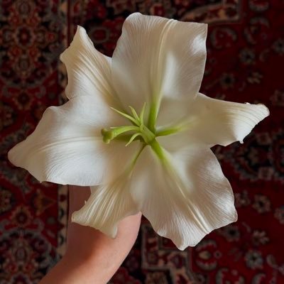 M6ur7's profile picture. 