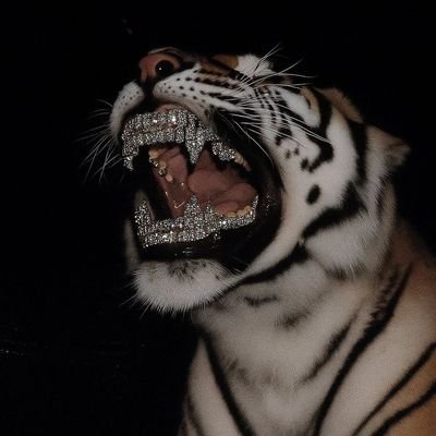 Alanrw22's profile picture. ...