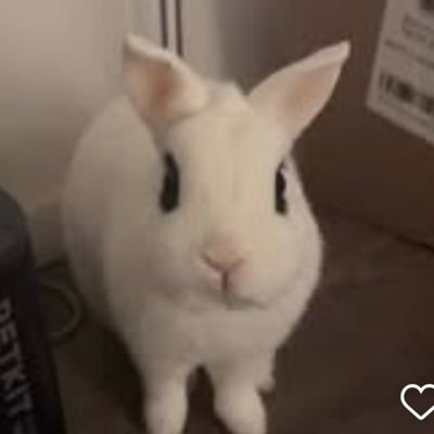 PenLegit's profile picture. H.I.M , G.O.A.T