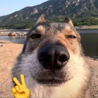 ymngxun99862058's profile picture. peace