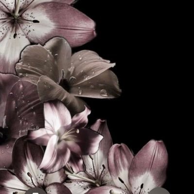 mimisosilly21's profile picture. 