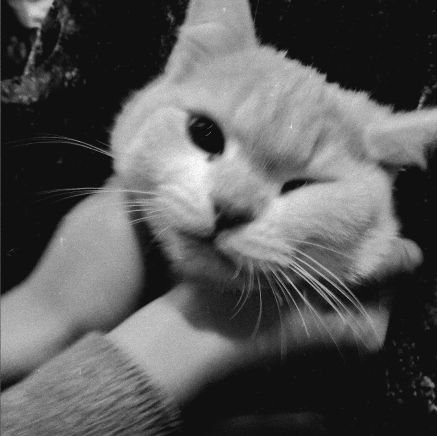 essaremm's profile picture. 