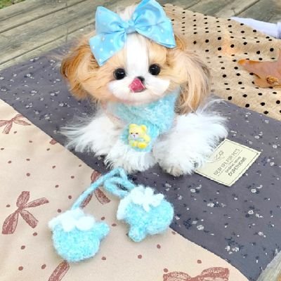 Faithrutto43's profile picture. 🏵️✨