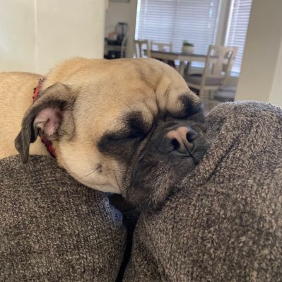 InfamousK48's profile picture. Just speaking the truth....... Tweets are my own opinion.