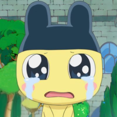 ibearbluu's profile picture. 🤳🏻🏄🏻‍♀️🪽★.ᐟ ( fan acc )