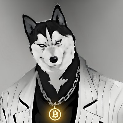 Haowei1024's profile picture. Founder of @137LabsCN | Long-termist | Programmer | Mining Farm Operator