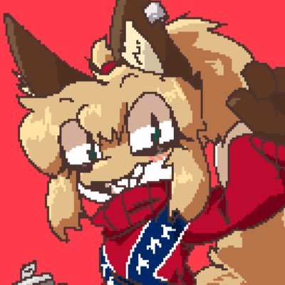 fiddledfox04's profile picture. ✝️ | Proud Panican | AF | don’t blame me I voted for Hitler