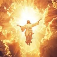 zionistveteran's profile picture. 