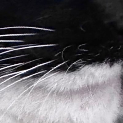 MeU_yj's profile picture. 성인 / 1차위주 그림계