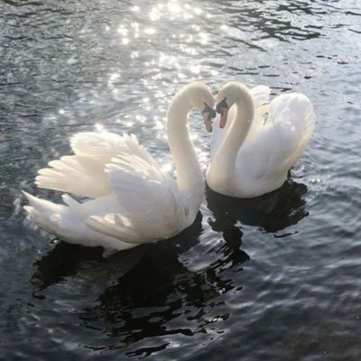 fgkh1ye's profile picture. 