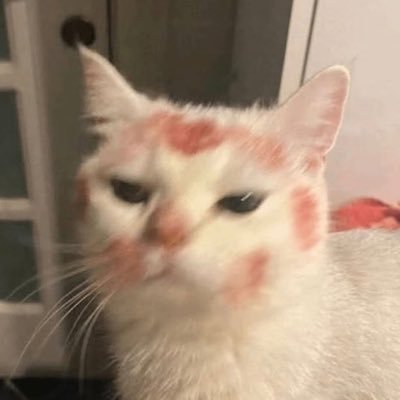 gothsylus's profile picture. in horny jail (priv) 🔞