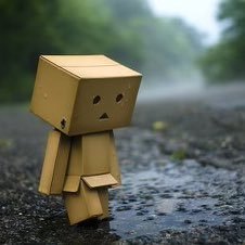 ForsakenDoge's profile picture. #MAGA 🇺🇸 * #SellCall / #SellPut * is the way $TSLA $NVDA $MSFT $AVGO $SOXL $TSLL $BTCL $SOLT $ETHU $SLV $IAU #DogeArmy #ShibArmy #GODBlessed 🇺🇸 #百年情人