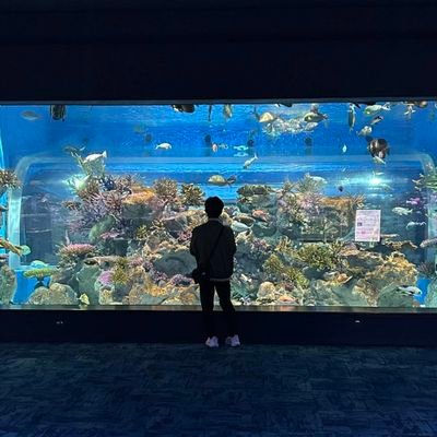 yuu_tro's profile picture. アルティメット

　スタレ