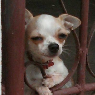 mymkxbas's profile picture. ᵒⁿᵉ ʷʰᵒ ⁱˢ ᵇᵒʳⁿ ʷⁱᵗʰ ʰᵃᵖᵖⁱⁿᵉˢˢ fan account | 𝗆𝖺𝗑𝗄𝗒_𝗋𝗉 𝖻𝖻𝖺𝗌𝗃𝗍𝗋 TLE_mtm firstone_wnk #แม็กกี้บาส #MaxkyBas #6CODE #TleFirstone