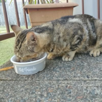 Jayden1127067's profile picture. 