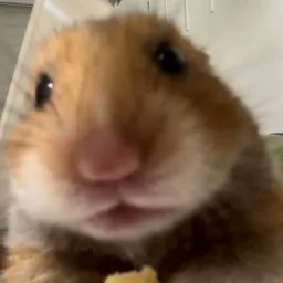 a_qua_0313's profile picture. 