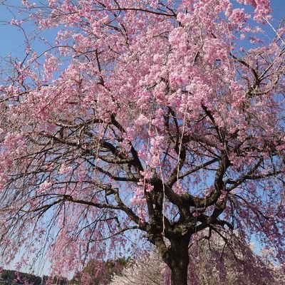 0607_0914_m's profile picture. 