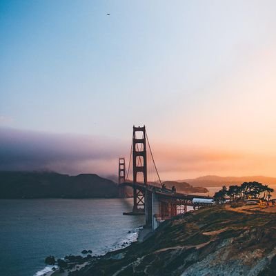 markTrey7's profile picture. 