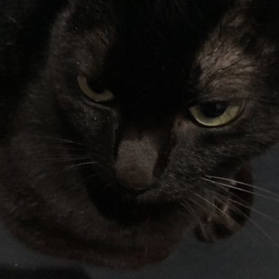 jasmiine626's profile picture. เป็นมี๊เพิร์ธที่มีต้าไว้บนหิ้ง 🖤🤍#PerthSanta