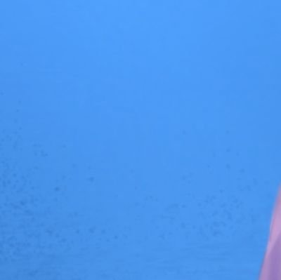 cuttothenight's profile picture. art-chive