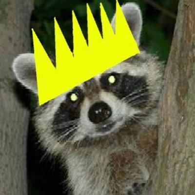 cwamidon's profile picture. offshore robotics