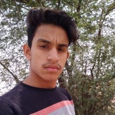 SartajHash46099's profile picture. Pursuing Bachelor of Computer pplication with focus on software development, database management, web technology, computer networking.