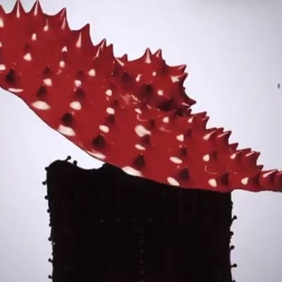 ladygodga's profile picture. Forever believing in & living the philosophy of ARTPOP • Lana Del Rey • Lady Gaga • Marina • Björk • Halsey • Grimes • Florence • Shakira • Twigs • Drag Race