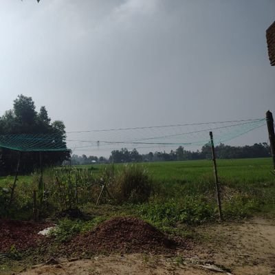 SAmana82757's profile picture. 