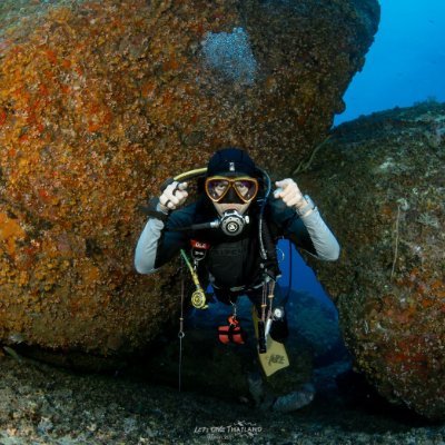 oleoncode's profile picture. On love to scuba diving
Maxi of |@PrismaXai | @re