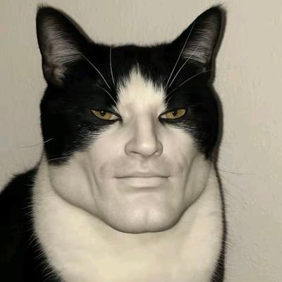 SaulGoodabd's profile picture. 