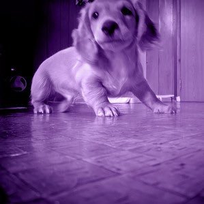 parkr4prezident's profile picture. 19. i love making music listen to my new album https://t.co/hGY1gxsxJD #mourningstar*