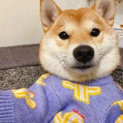 jisn14994343's profile picture. 