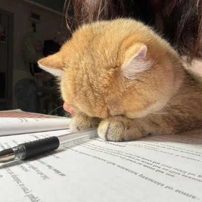 limo0905's profile picture. 想到啥发啥，也 #keep4o
恋与深空🍐🐦‍⬛🍎
喜欢自说自话 点赞就是喜欢你的意思🥹