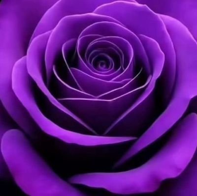 sokhulunokwanda's profile picture. 