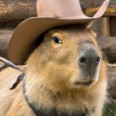 CharminglyDumb's profile picture. 