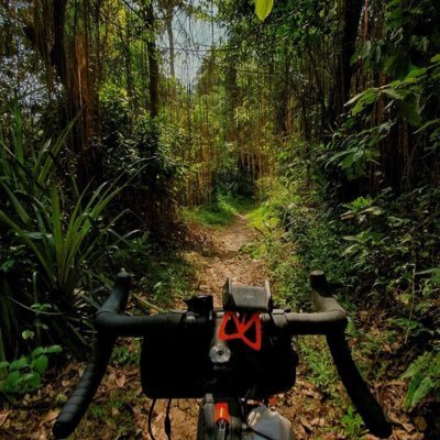 lauransiago's profile picture. a sanctuary; to put my mind at ease. nothing serious. mostly dgaf and detached.