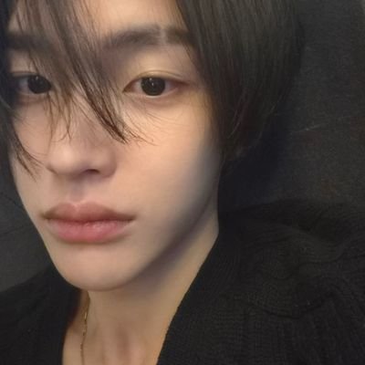 notchewinggums's profile picture. łövɛ hanhanhan                                                                                                      #원빈 ྀི    #이한 ྀི