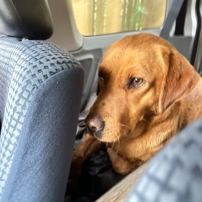 tomozo33_1800hs's profile picture. とりあえず、年中何かしらとってる人。