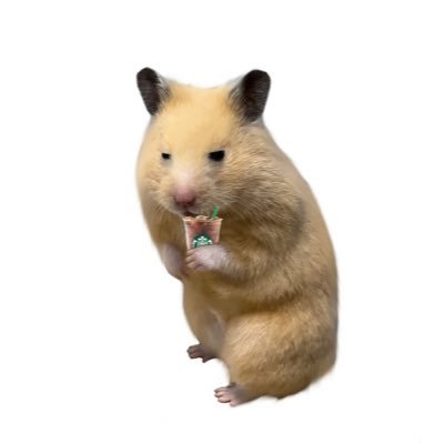 vespernmartini's profile picture. 