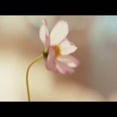 ofrawfish_music's profile picture. 