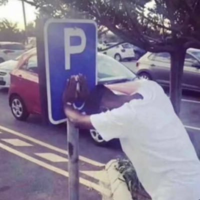 surplusyrn's profile picture. Curious mind. Calm spirit. Always working on a better me.