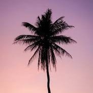 Dan462788's profile picture. 